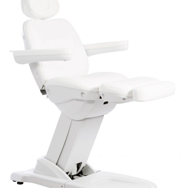 Fauteuil d’esthétique électrique Gertrude